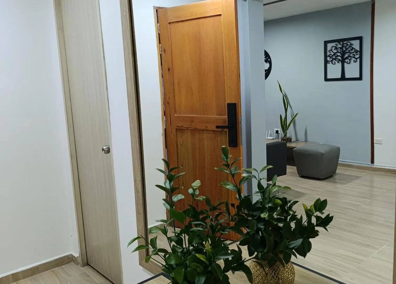 Апартаменты Apartahotel Provenza 2 Медельин Колумбия